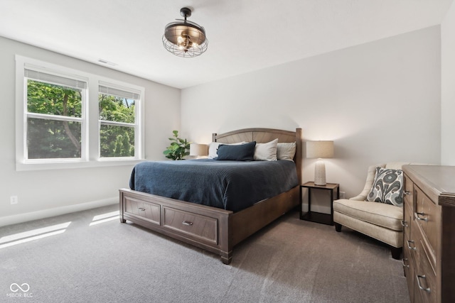 9155 Kerwood Dr, Indianapolis, IN 46240 - bedroom featuring dark colored carpet and baseboards