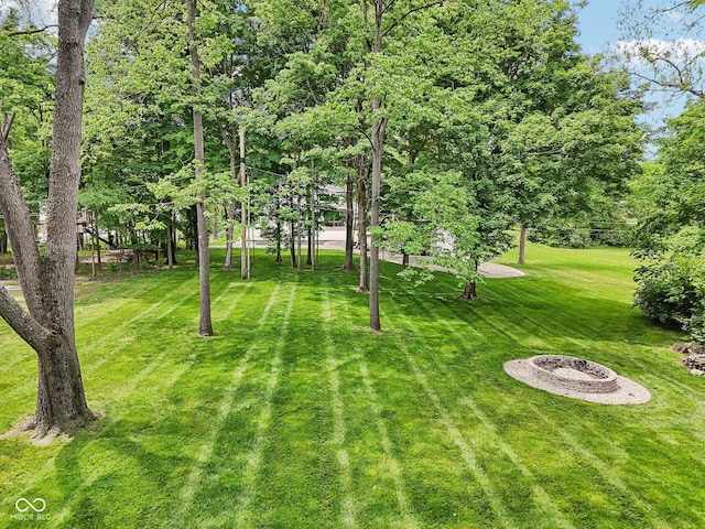 9155 Kerwood Dr, Indianapolis, IN 46240 - view of grassy yard