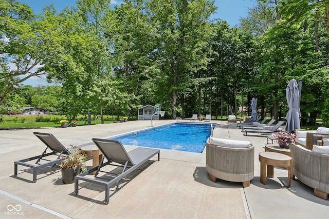 9155 Kerwood Dr, Indianapolis, IN 46240 - outdoor pool with a patio and view of wooded area