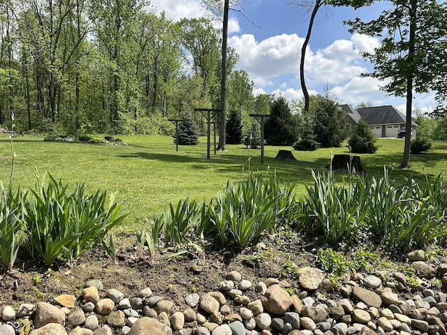 view of grassy yard