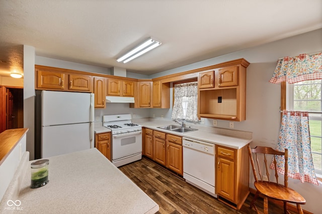 kitchen with white appliances, under cabinet range hood, a sink, dark wood finished floors, and light countertops
