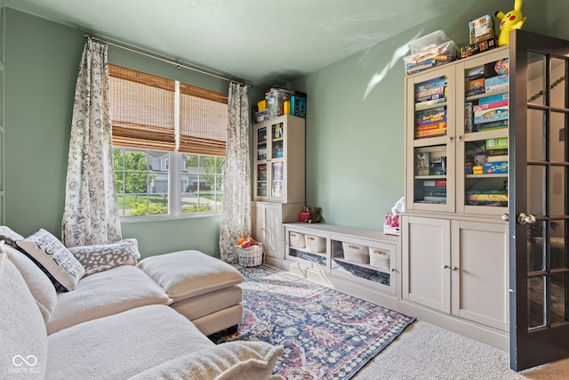 1289 Sunset Blvd, Avon, IN 46123 - sitting room featuring carpet floors