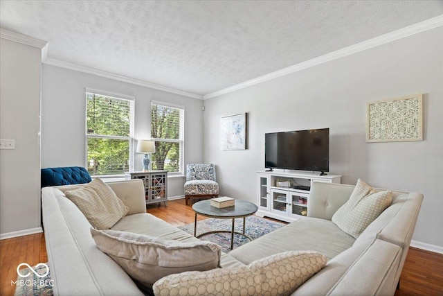 2405 N Park Ave, Indianapolis, IN 46205 - living area featuring wood finished floors, baseboards, crown molding, and a textured ceiling