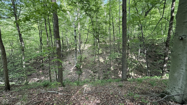0 Fiscus Cemetery Rd, Coal City, IN 47427 - photo 17