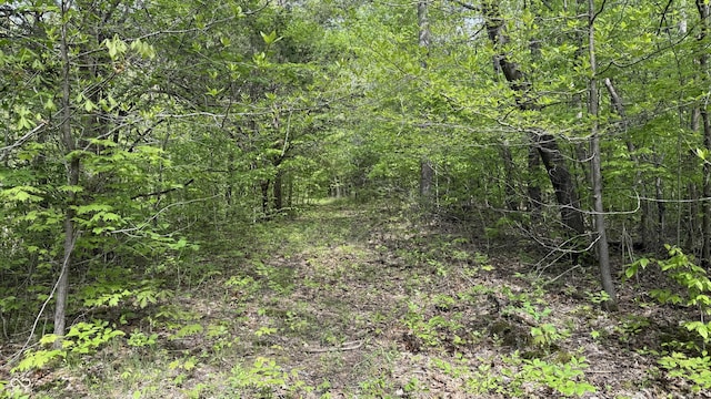 0 Fiscus Cemetery Rd, Coal City, IN 47427 - photo 25