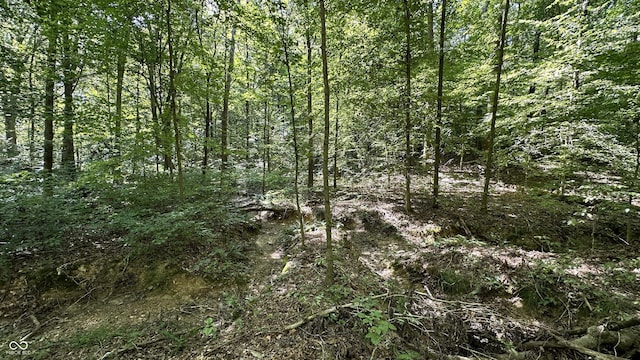 0 Fiscus Cemetery Rd, Coal City, IN 47427 - photo 34