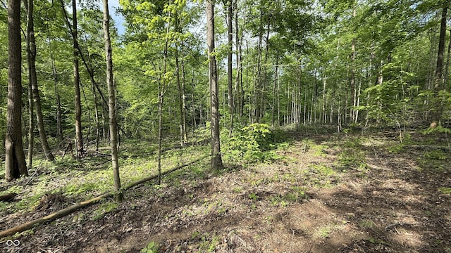 0 Fiscus Cemetery Rd, Coal City, IN 47427 - photo 12