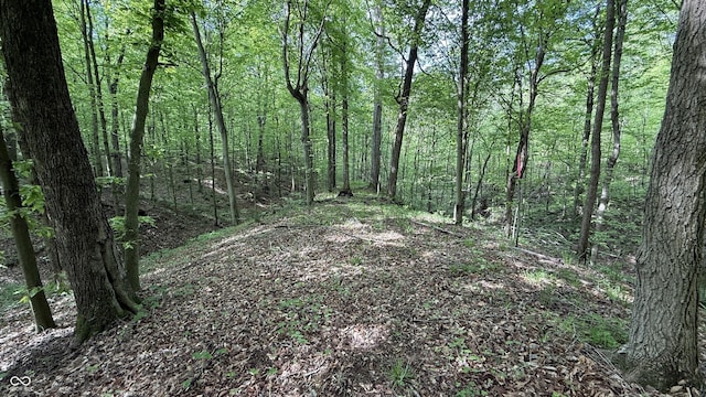 0 Fiscus Cemetery Rd, Coal City, IN 47427 - photo 16