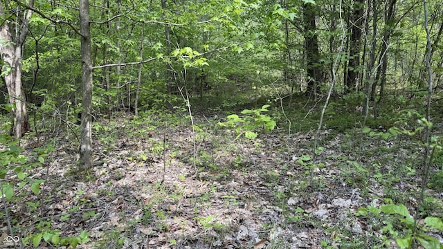 0 Fiscus Cemetery Rd, Coal City, IN 47427 - photo 27