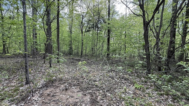 0 Fiscus Cemetery Rd, Coal City, IN 47427 - photo 28