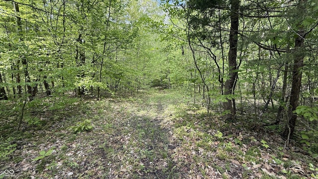 0 Fiscus Cemetery Rd, Coal City, IN 47427 - photo 22