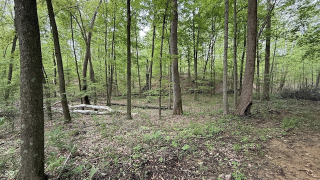 0 Fiscus Cemetery Rd, Coal City, IN 47427 - photo 6