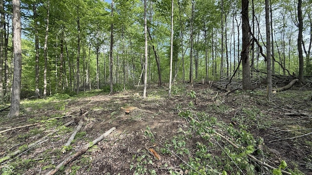 0 Fiscus Cemetery Rd, Coal City, IN 47427 - photo 13