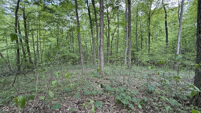 0 Fiscus Cemetery Rd, Coal City, IN 47427 - photo 18