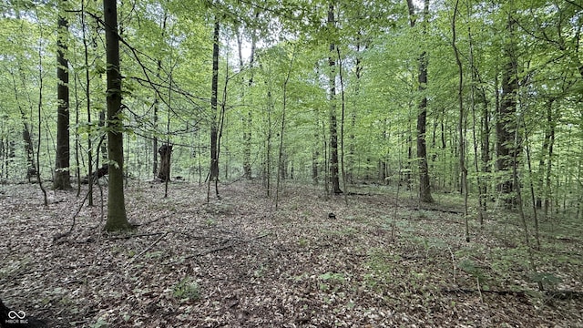 0 Fiscus Cemetery Rd, Coal City, IN 47427 - photo 14
