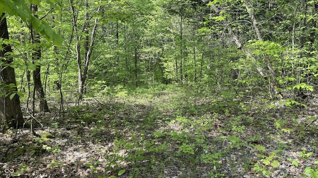 0 Fiscus Cemetery Rd, Coal City, IN 47427 - photo 26