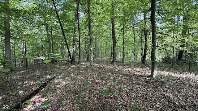 0 Fiscus Cemetery Rd, Coal City, IN 47427 - photo 15