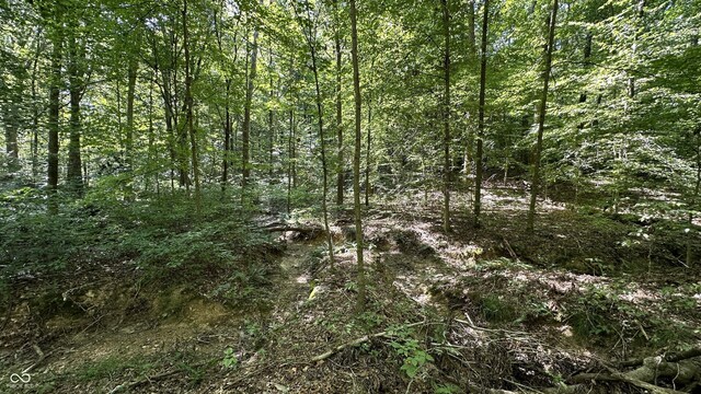1 Fiscus Cemetery Rd, Coal City, IN 47427 - photo 3