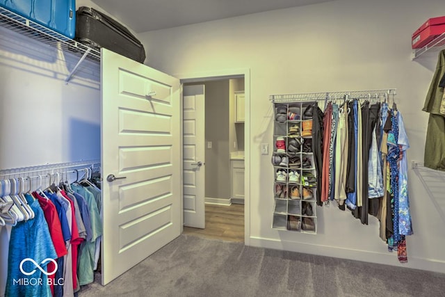 spacious closet featuring carpet flooring