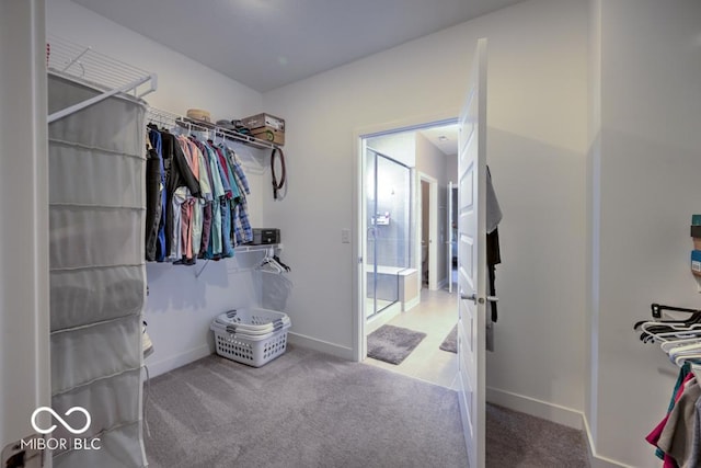 spacious closet with carpet flooring