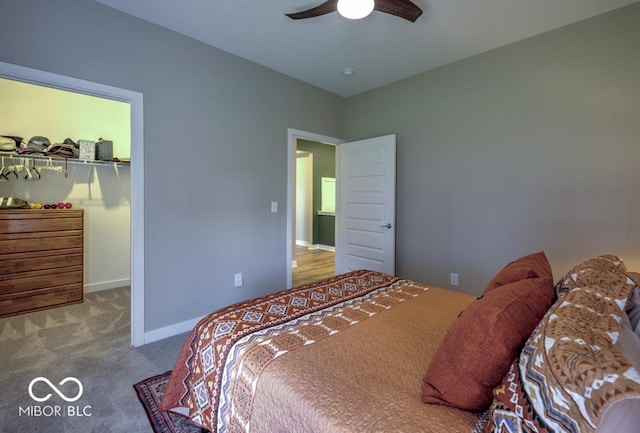 bedroom with a walk in closet, carpet flooring, a closet, a ceiling fan, and baseboards