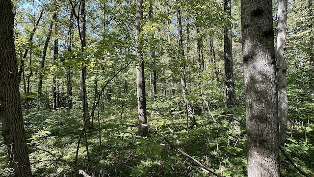 2 Fiscus Cemetery Rd, Coal City, IN 47427 - photo 3