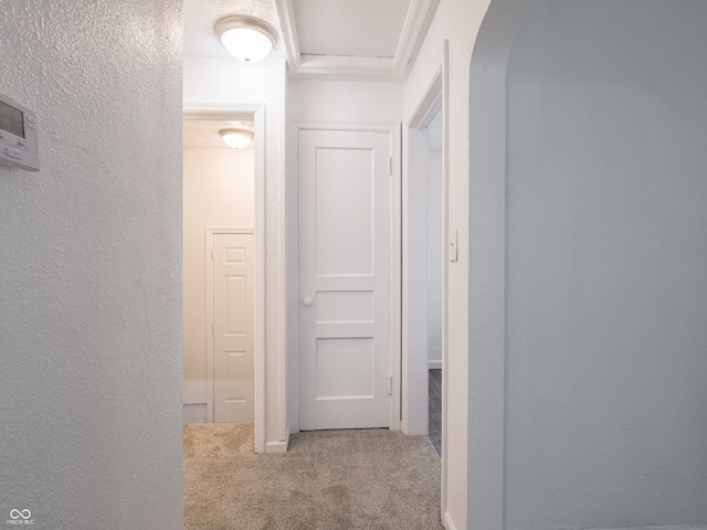 corridor featuring carpet, arched walkways, and a textured wall