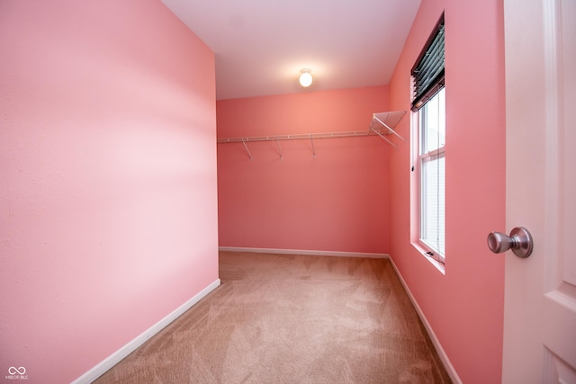 1404 Norton Dr, Greenwood, IN 46143 - walk in closet featuring carpet flooring