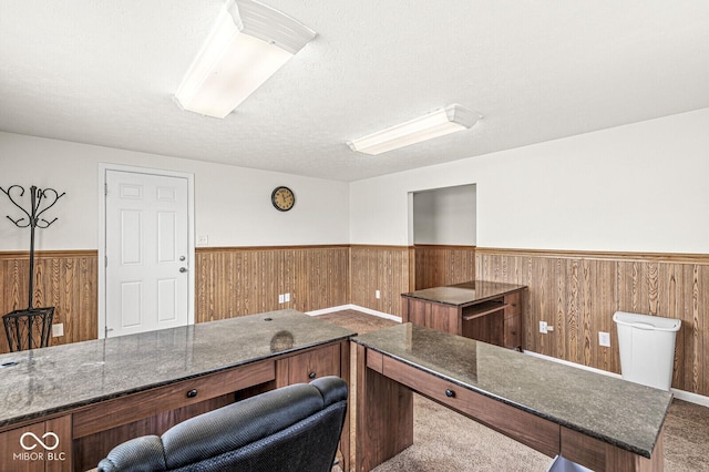 1391 N Shadeland Ave, Indianapolis, IN 46219 - carpeted office featuring a wainscoted wall, wooden walls, and a textured ceiling
