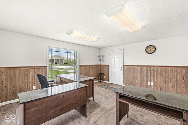 1391 N Shadeland Ave, Indianapolis, IN 46219 - office area featuring wainscoting, wood walls, a textured ceiling, and carpet floors