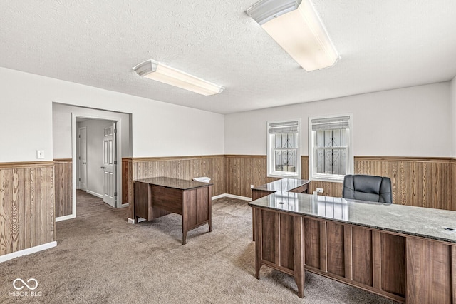 1391 N Shadeland Ave, Indianapolis, IN 46219 - office featuring wainscoting, wooden walls, light carpet, and a textured ceiling