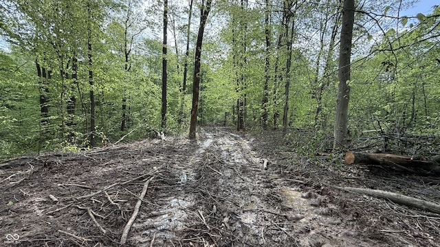 3 Fiscus Cemetery Rd, Coal City, IN 47427 - photo 11