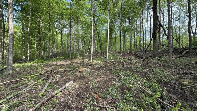 3 Fiscus Cemetery Rd, Coal City, IN 47427 - photo 13