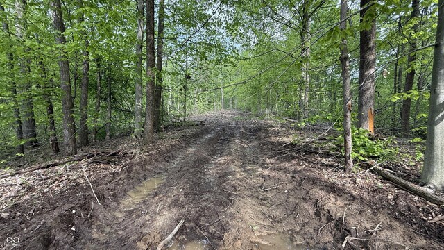 3 Fiscus Cemetery Rd, Coal City, IN 47427 - photo 10