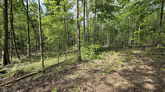 3 Fiscus Cemetery Rd, Coal City, IN 47427 - photo 12