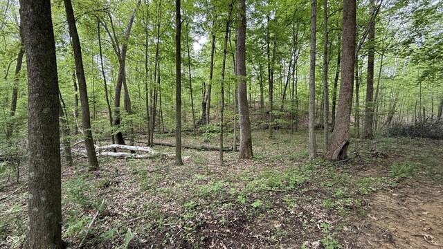 3 Fiscus Cemetery Rd, Coal City, IN 47427 - photo 6