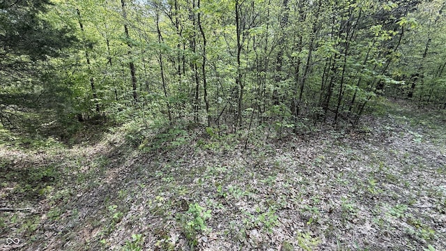 4 Fiscus Cemetery Rd, Coal City, IN 47427 - photo 9