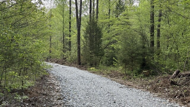 4 Fiscus Cemetery Rd, Coal City, IN 47427 - photo 5