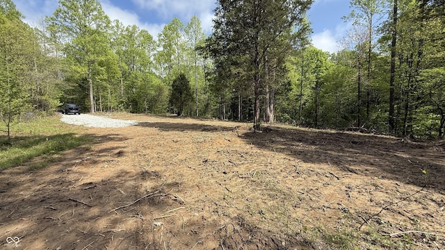 4 Fiscus Cemetery Rd, Coal City, IN 47427 - photo 6