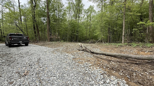4 Fiscus Cemetery Rd, Coal City, IN 47427 - photo 4