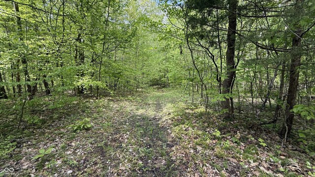 4 Fiscus Cemetery Rd, Coal City, IN 47427 - photo 7