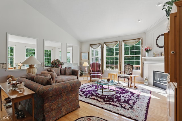 12065 Gray Eagle Dr, Fishers, IN 46037 - living room featuring light wood-style floors, plenty of natural light, vaulted ceiling, and a fireplace with flush hearth