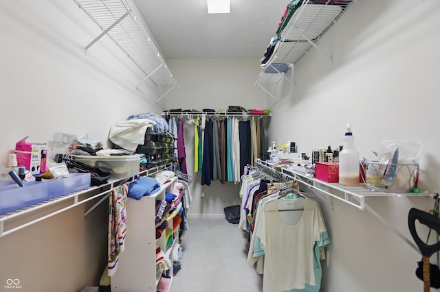 12065 Gray Eagle Dr, Fishers, IN 46037 - walk in closet featuring carpet flooring