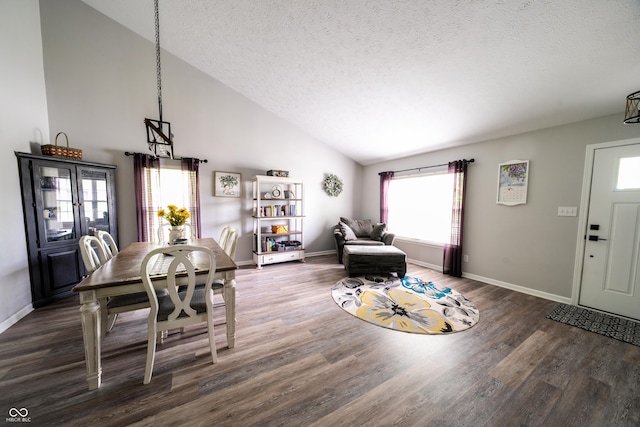 1334 Legacy Ct, Indianapolis, IN 46234 - living area with wood finished floors, a textured ceiling, baseboards, and high vaulted ceiling