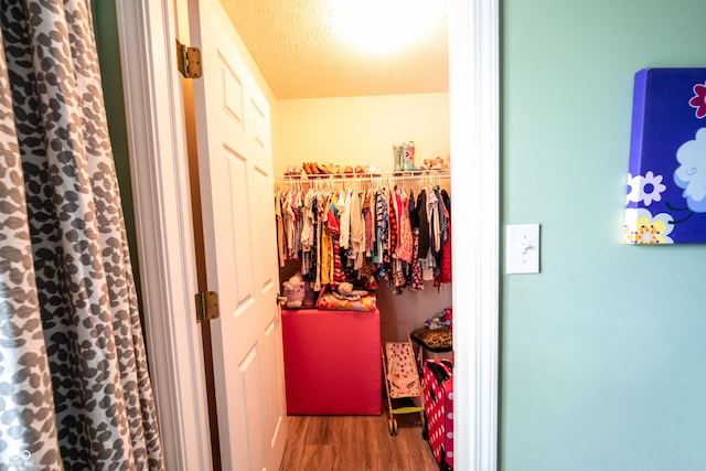 1334 Legacy Ct, Indianapolis, IN 46234 - spacious closet with wood finished floors