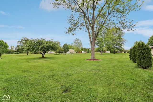 4732 Ferguson Rd, Indianapolis, IN 46239 - view of green lawn