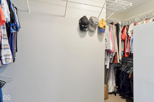 4732 Ferguson Rd, Indianapolis, IN 46239 - view of spacious closet