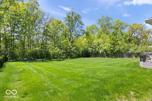 10444 Collingswood Ln, Fishers, IN 46037 - view of yard