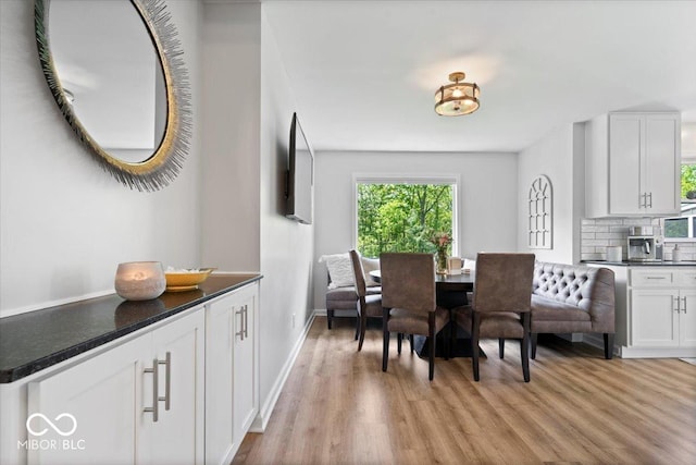 10444 Collingswood Ln, Fishers, IN 46037 - dining space with light wood-style floors, healthy amount of natural light, and baseboards