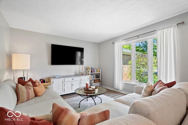 10444 Collingswood Ln, Fishers, IN 46037 - living room featuring wood finished floors, baseboards, and a textured ceiling
